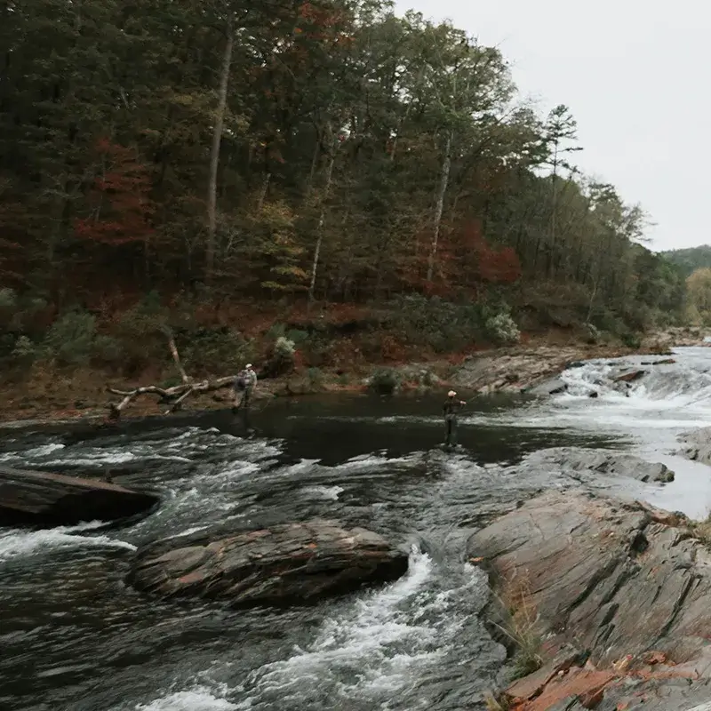 History Highlight - Water