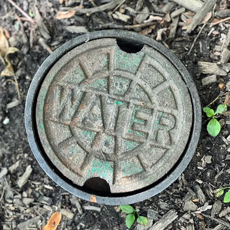 Cover of water drain