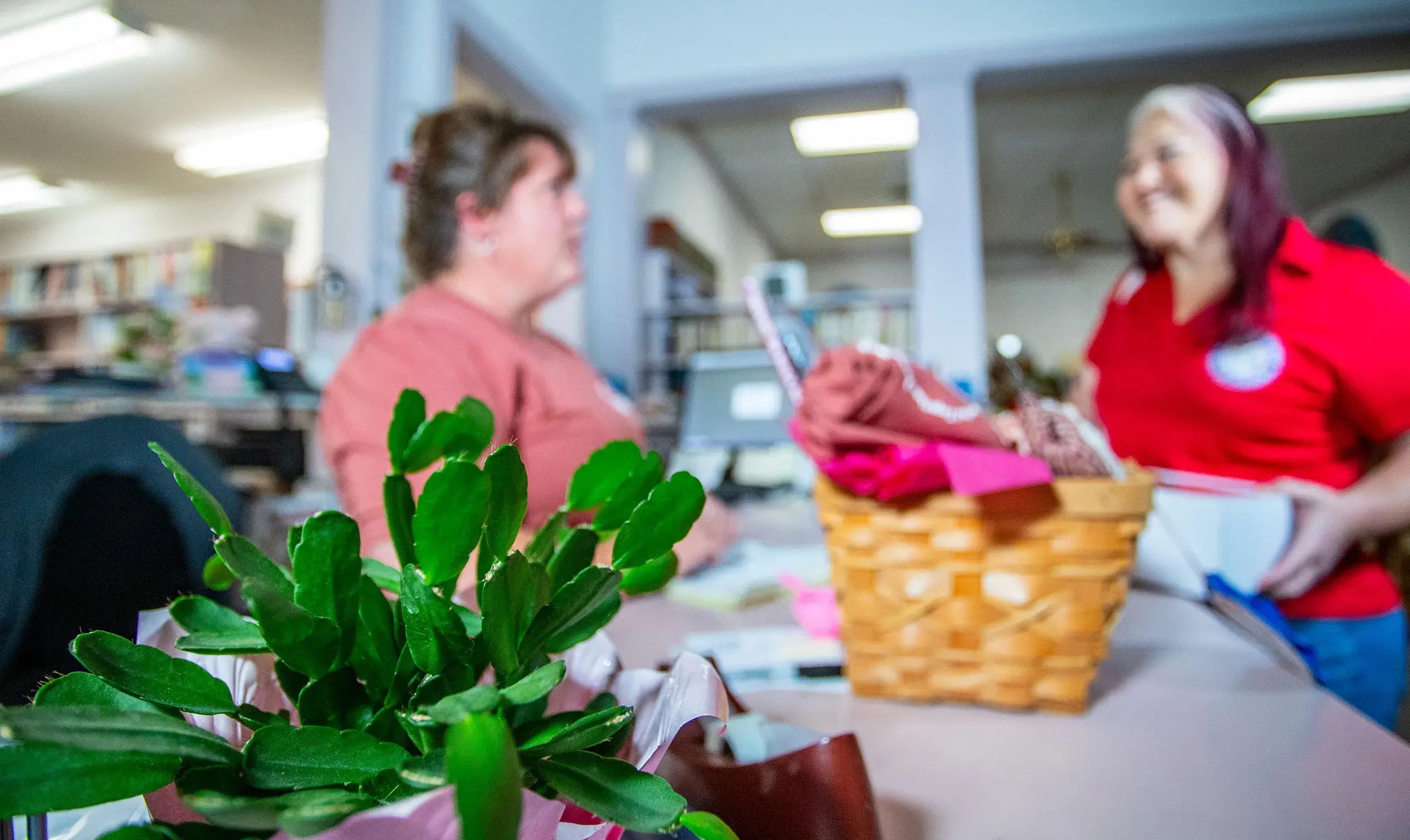 City manager talking to librarian